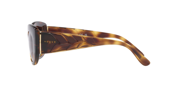 Vogue VO5480S W65613  